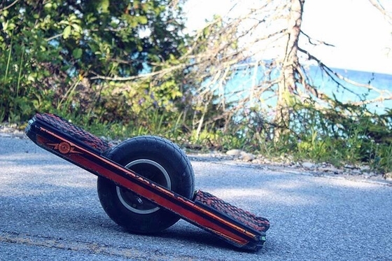 Rad-manuelles Skateboard 10.5Ah 700W eins mit Schutz Rail